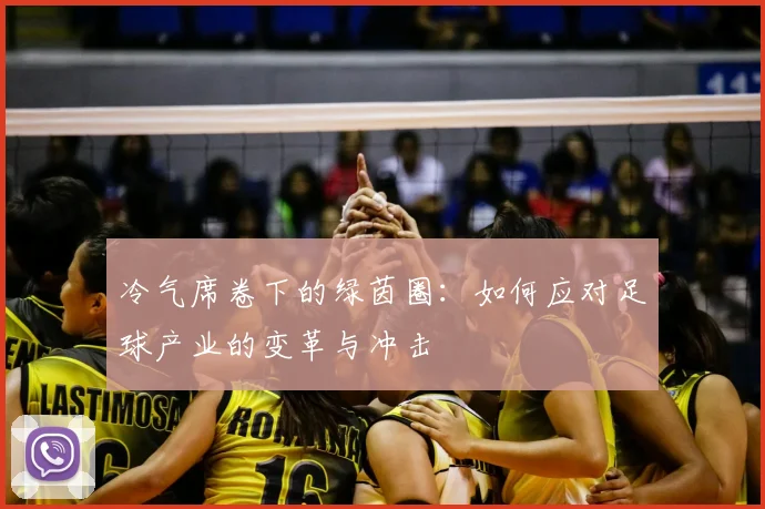 冷气席卷下的绿茵圈:如何应对足球产业的变革与冲击